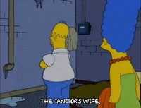 homer simpson episode 10 GIF