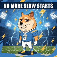 Shiba Inu Football GIF by Doge Pound