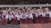 GIF by Temple Owls