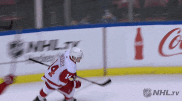 happy ice hockey GIF by NHL