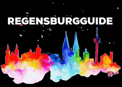 regensburgguide giphygifmaker regensburg regensburgguide GIF