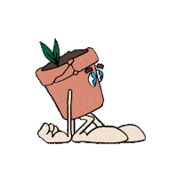Happy Summer Sticker