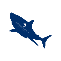 shark maldives scubaspa Sticker