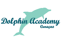 DolphinAcademyCuracao dolphins curacao sea aquarium dolphin academy Sticker