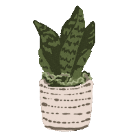 RachelBrei green plant plant mom house plant Sticker