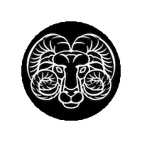 Zodiac Sign Sunshine Sticker by Digital Pratik