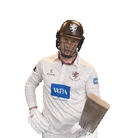 Ball Bat Sticker by Somerset County Cricket Club