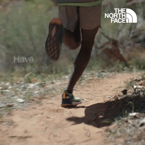 Have You Ever - The North Face