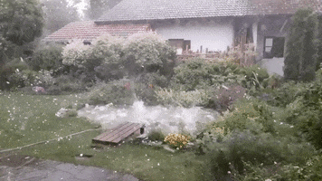 madmoizelledotcom  GIF