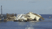cruise ship GIF by Daily Mail Online