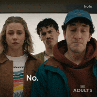 Nick Kroll No GIF by Adults