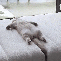 GIF by Martin