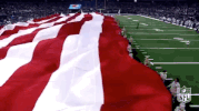 2018 Nfl Football GIF by NFL