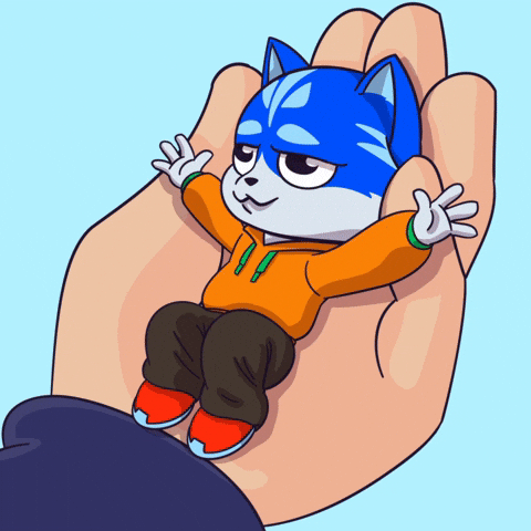 Cat Holding GIF by Toshithecat
