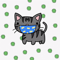 GIF by Tutimon