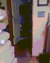 soo GIF