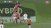 round 22 afl GIF by Adelaide Crows