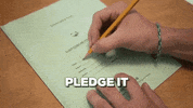 honor code finals GIF by Davidson College