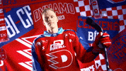 Michal GIF by HC Dynamo Pardubice