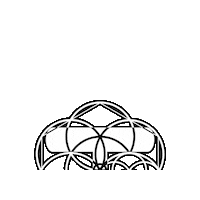 TrancedencyaOfficial trance psy trance trancedencya Sticker