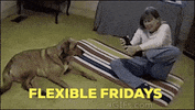 Flexible Fridays GIF