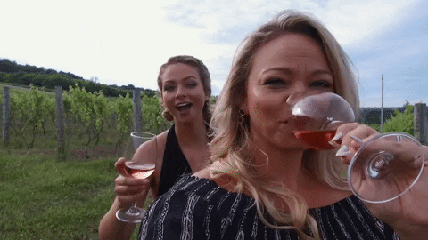 rachelorth giphygifmaker wine GIF