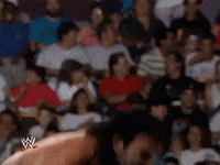 wwe sports wwe wrestling 1993 GIF