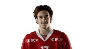 Lhc Lausannehc Sticker by Lausanne Hockey Club
