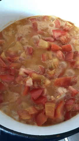 Chicken Soup For The Soul GIF by Our Second Nature