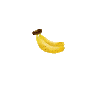 lisachiuqq food illustration fruit banana Sticker