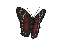 gabwart red nature yellow fly Sticker