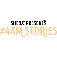 Sleepy Black Cat Sticker by Sheba Official