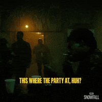What Is Happening GIF by Snowfall