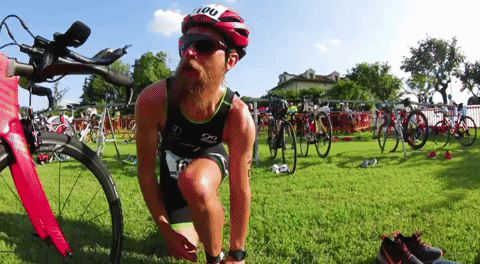 mattveedeo  GIF