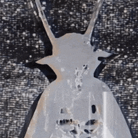 Halloween Horror GIF by CALABRESE