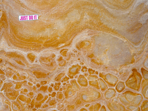 Germany Wow GIF by FranchiseCHECK.de