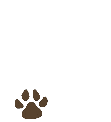 nuggiepawshopcorp giphyupload dog rainbow dogs Sticker