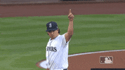Regular Season Sport GIF by MLB