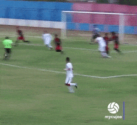 Vera Cruz Goalkeeper GIF by ELEVEN SPORTS