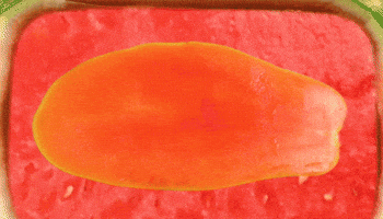 Stop Motion Fun GIF by Phyllis Ma