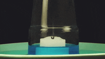 cool science GIF by Diply