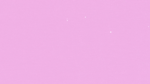 Pink Loop GIF by Beeby Animations