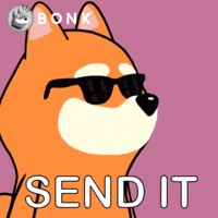 Cool Dog Crypto GIF by BONK