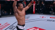ufc 212 GIF