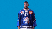 Baltisberger Pedretti GIF by ZSC Lions