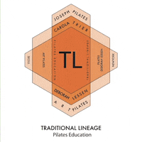 artpilates art classic teacher chair GIF