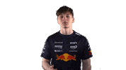 Red Bull Sr Sticker by Oracle Red Bull Racing