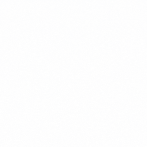 GIF by Fundacja PODAJ DALEJ