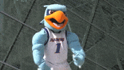 Hugo Mascotmadness GIF by SUNY New Paltz