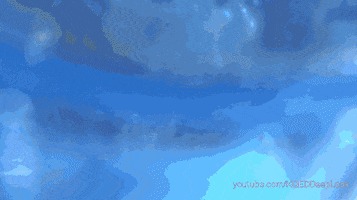 california frog GIF by PBS Digital Studios